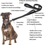 2 Handled Dog Lead Leash Lead with Dual Traffic Handle Heavy Duty 180cm Long. UK
