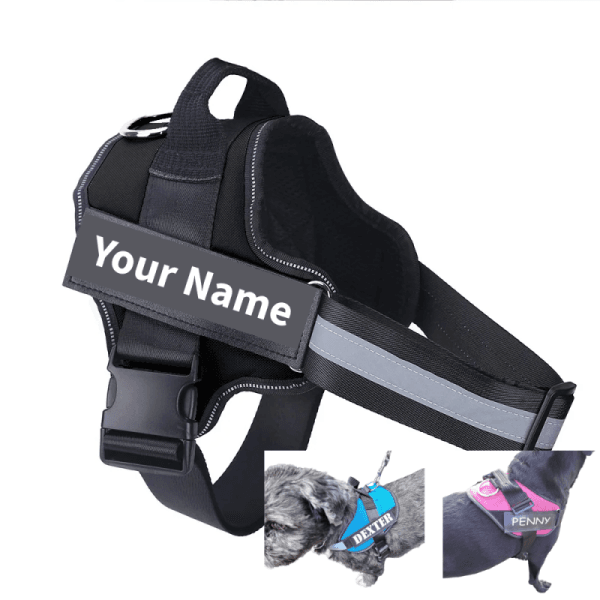 Harness2 Personalised Dog Harness Strong No Pull Dog Name Small Med Large XL.