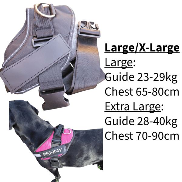 HarnessLargeXlarge Personalised Dog Harness Strong No Pull Dog Name Small Med Large XL.