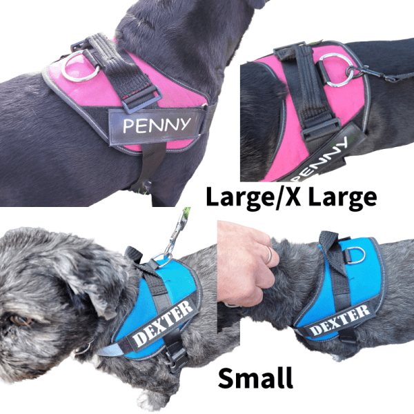 Untitled (13) Personalised Dog Harness Strong No Pull Dog Name Small Med Large XL.