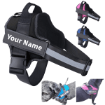 Untitled (14) Personalised Dog Harness. Red Black Blue