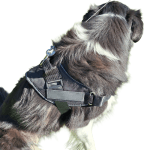 Untitled (16) Personalised Dog Harness Strong No Pull Dog Name Small Med Large XL.